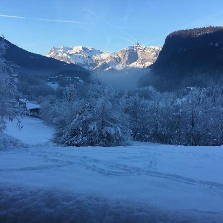 Vallee De Chamonix Au Pied Des Pistes 莱苏什 外观 照片