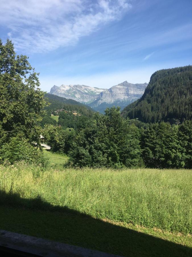 Vallee De Chamonix Au Pied Des Pistes 莱苏什 外观 照片