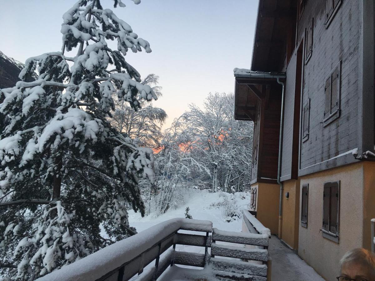 Vallee De Chamonix Au Pied Des Pistes 莱苏什 外观 照片